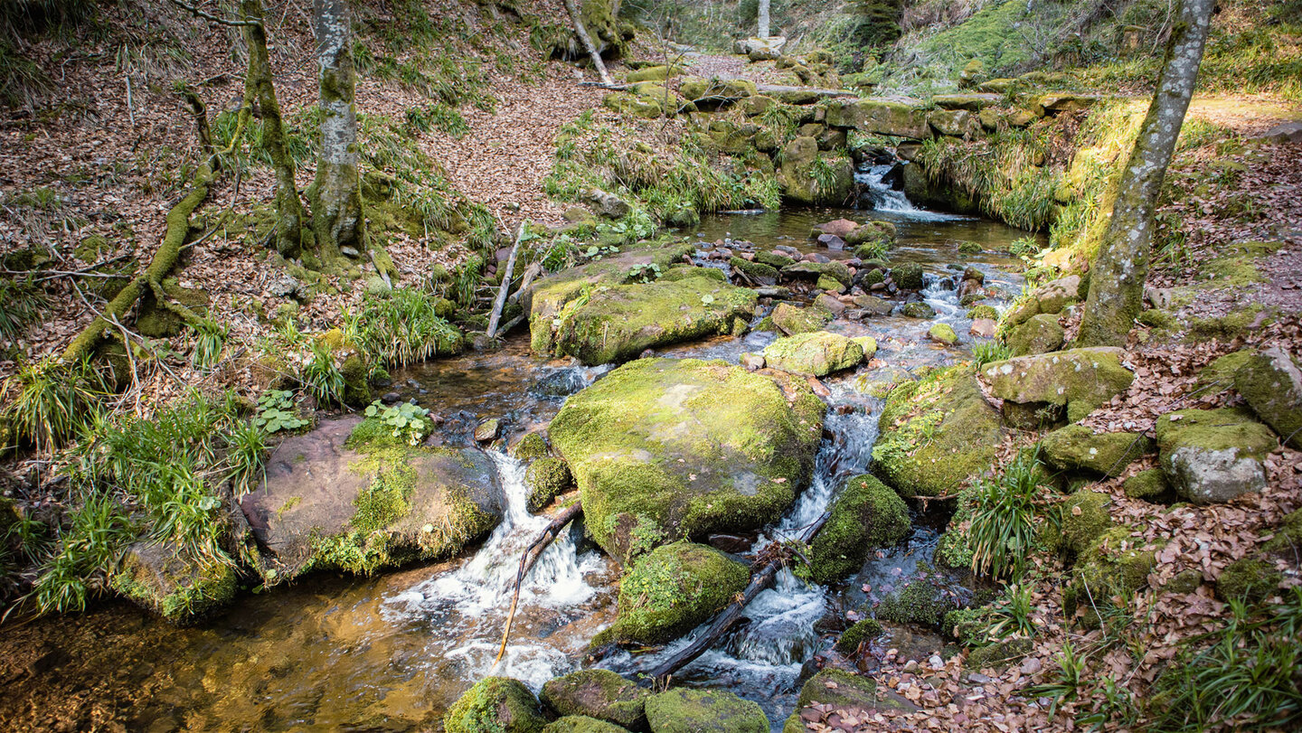 Uferweg entlang der Wilden Rench bei Bad Peterstal-Griesbach | © Sunhikes
