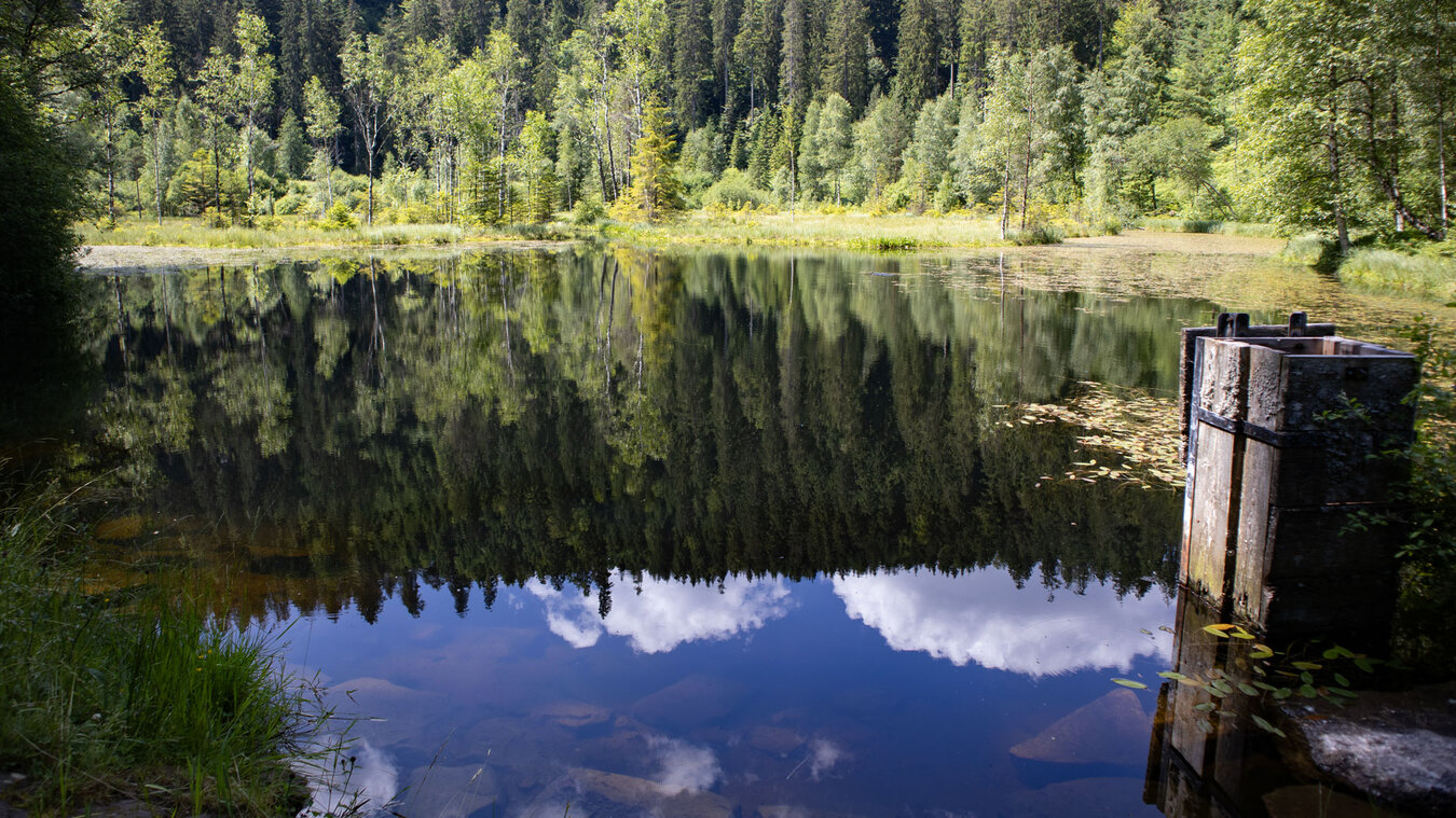 der Ellbachsee – Karsee auf der Gemarkung Baiersbronn | © Sunhikes