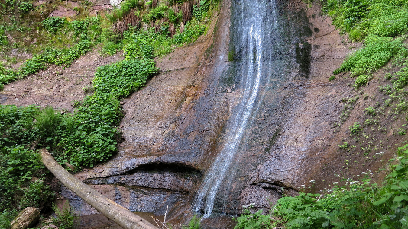 Sankenbachwasserfall bei Baiersbronn im Schwarzwald | © Sunhikes