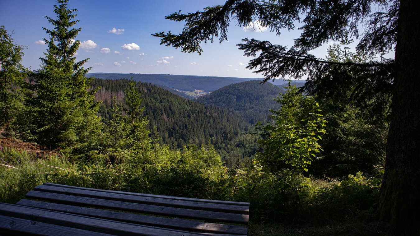 Schwarzwaldpanorama im Baiersbronner Wanderhimmel | © Sunhikes
