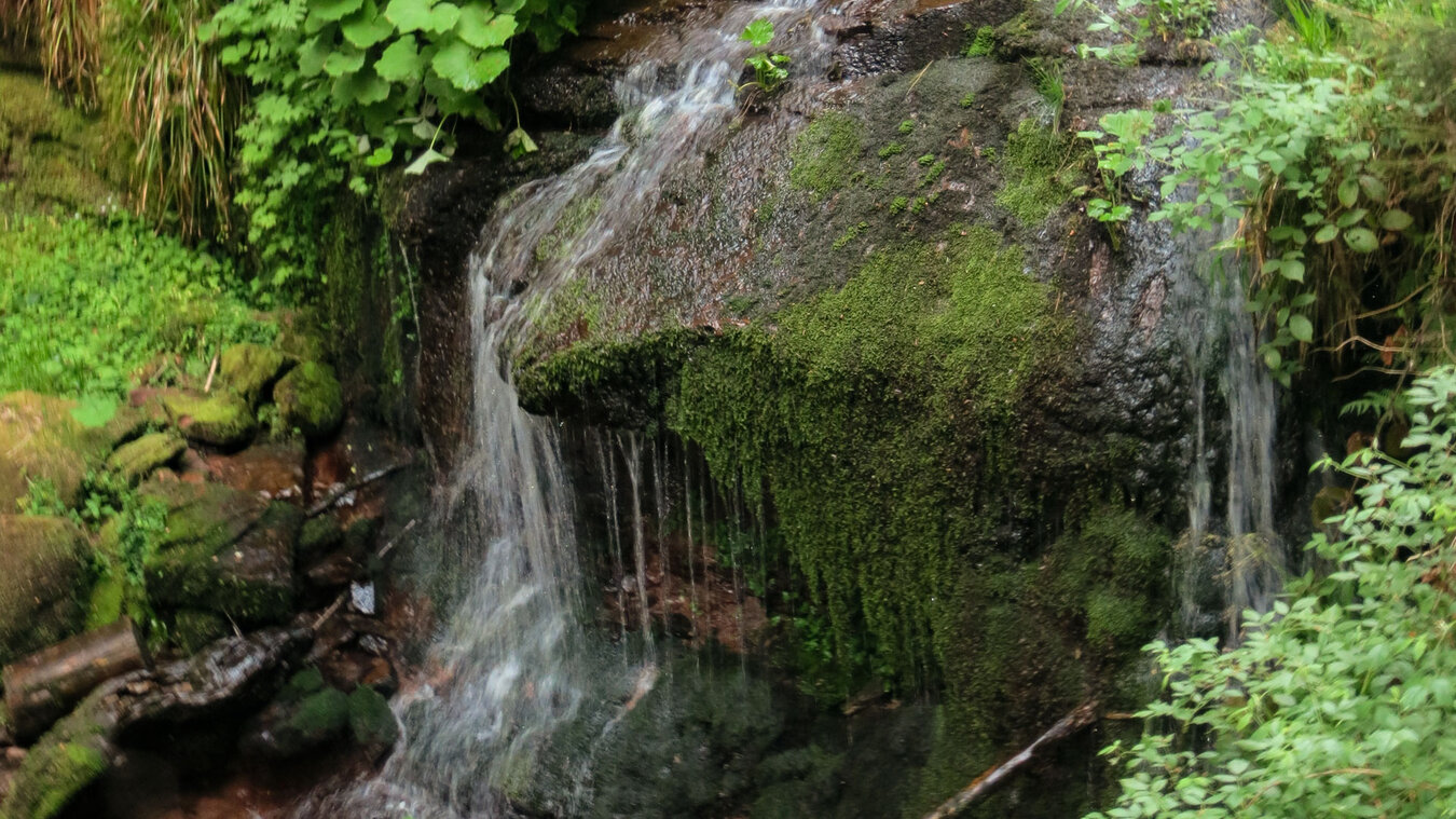 Baiersbronner Sankenbachsteig: Kaskade am Sankenbach | © Sunhikes