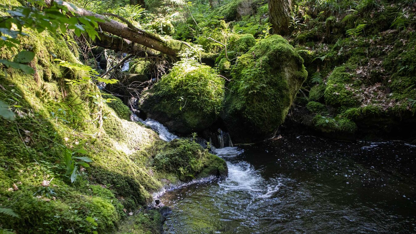 Rundwanderung Ravennaschlucht | © Sunhikes