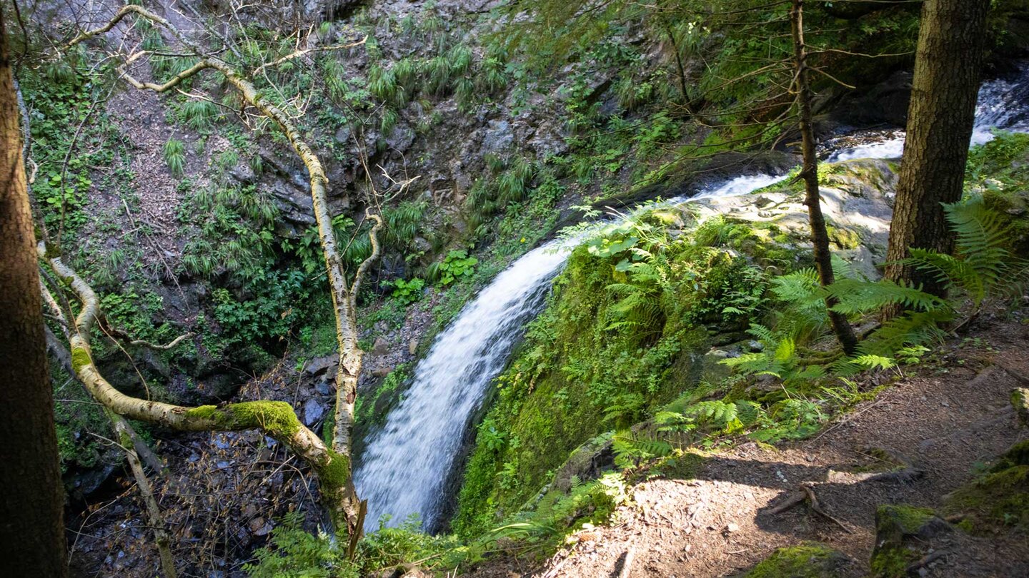 der Große Ravenna-Wasserfall | © Sunhikes