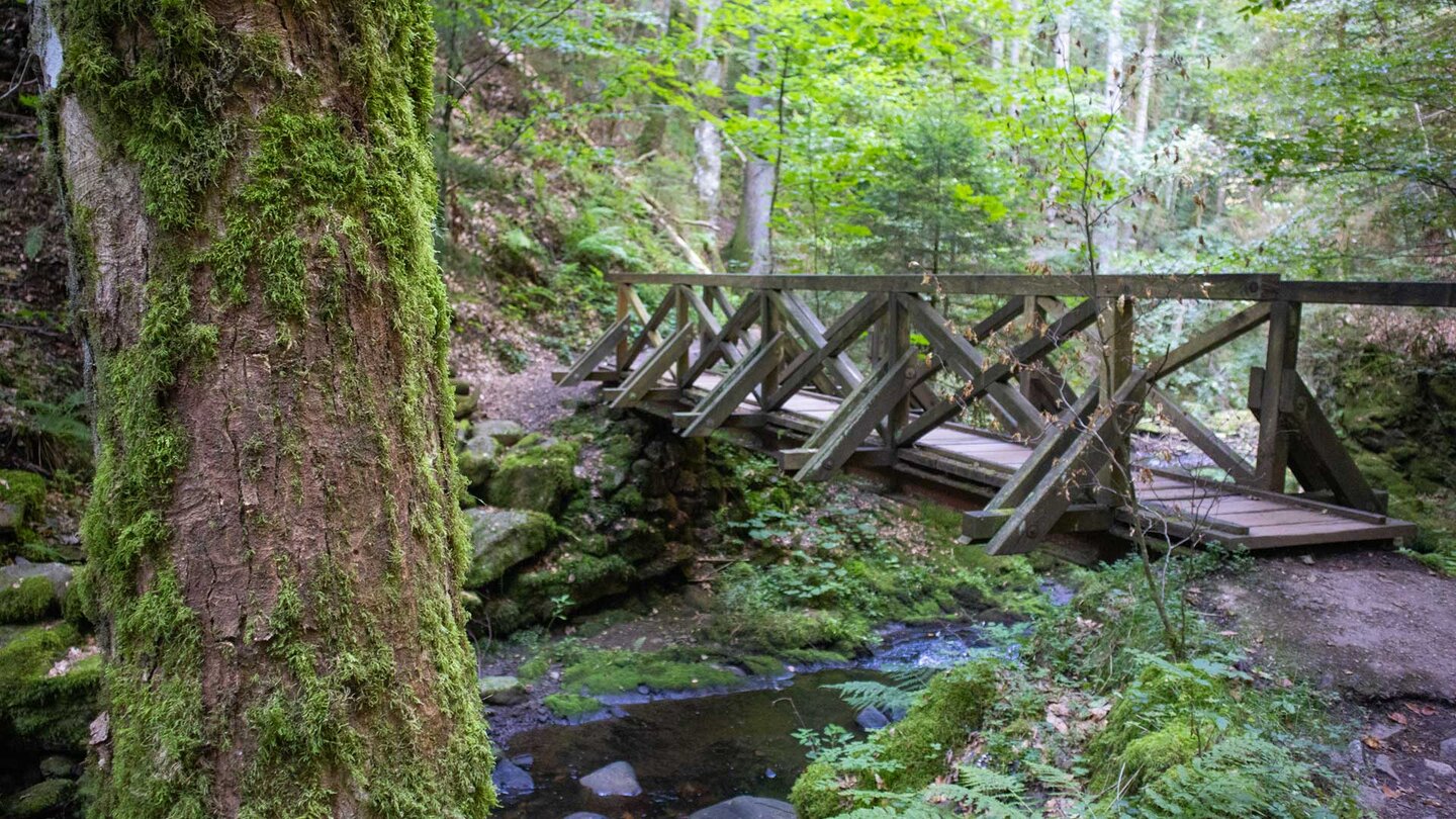 Wanderweg durch die Ravennaschlucht | © Sunhikes