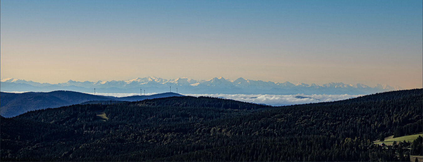 Alpenpanorama vom Schauinsland | © Sunhikes