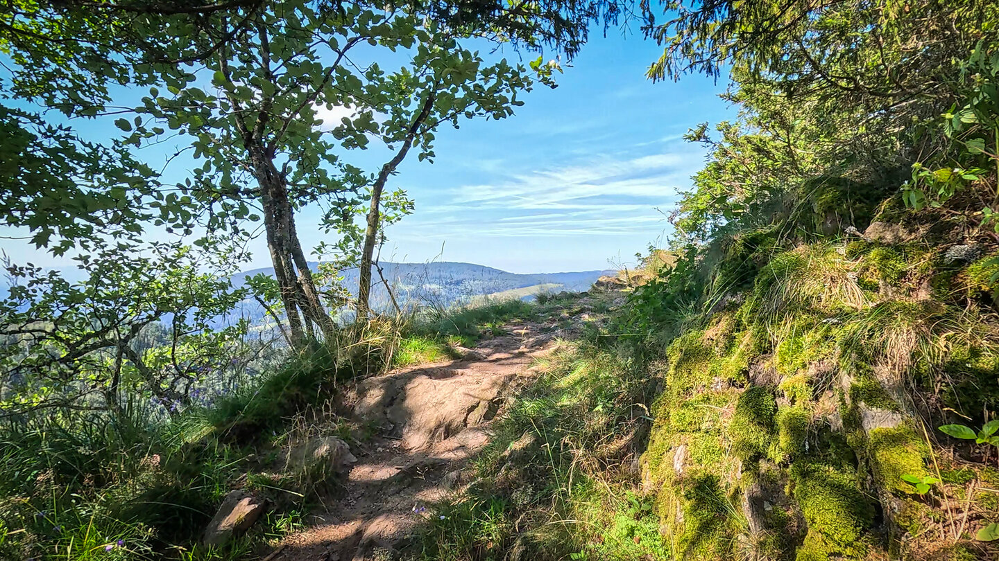 Panoramaweg am Blechen | © Sunhikes