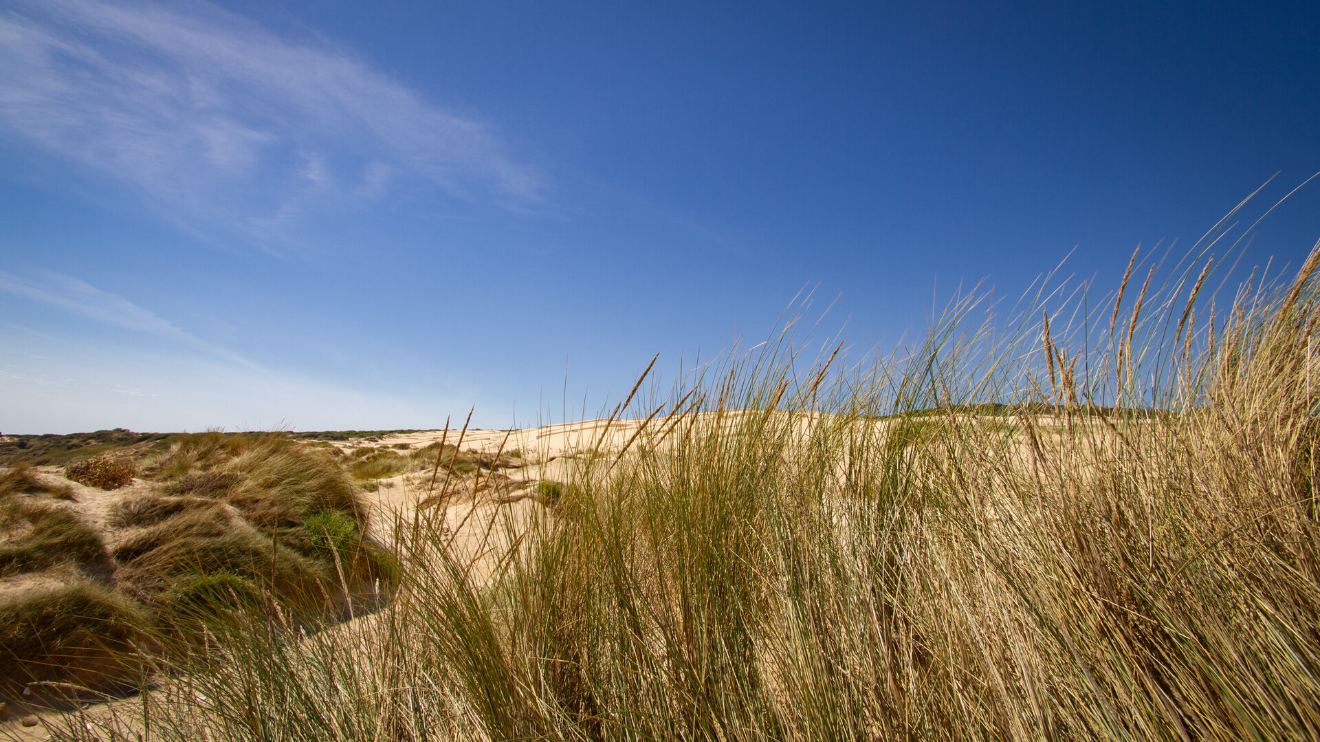Nationalpark Coto de Doñana | © Sunhikes