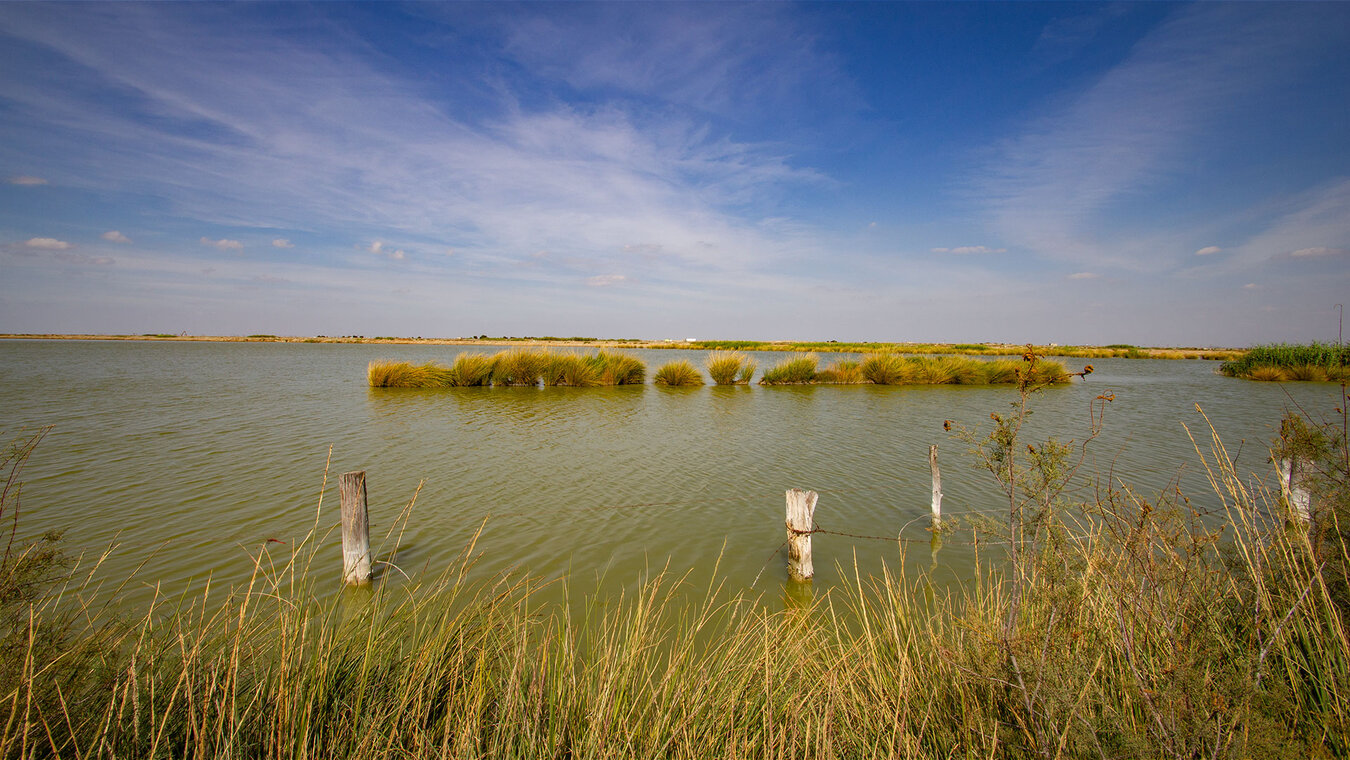 Landschaft des Guadalquivir-Deltas | © Sunhikes