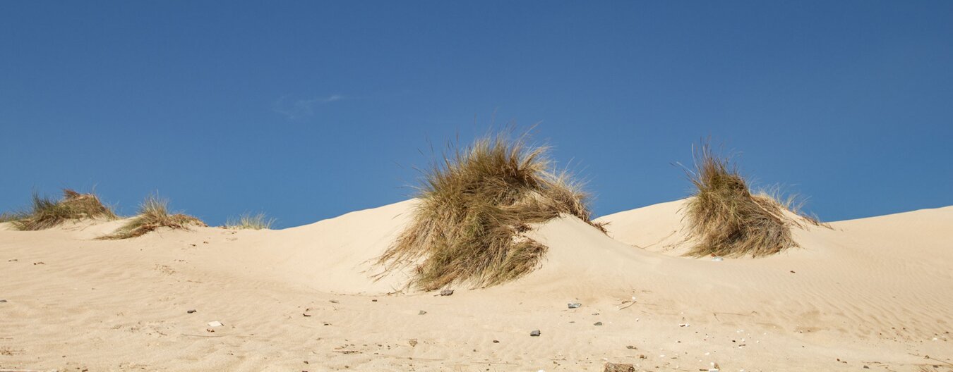 Sanddünen an der Küste des Nationalparks Coto de Doñana | © Sunhikes