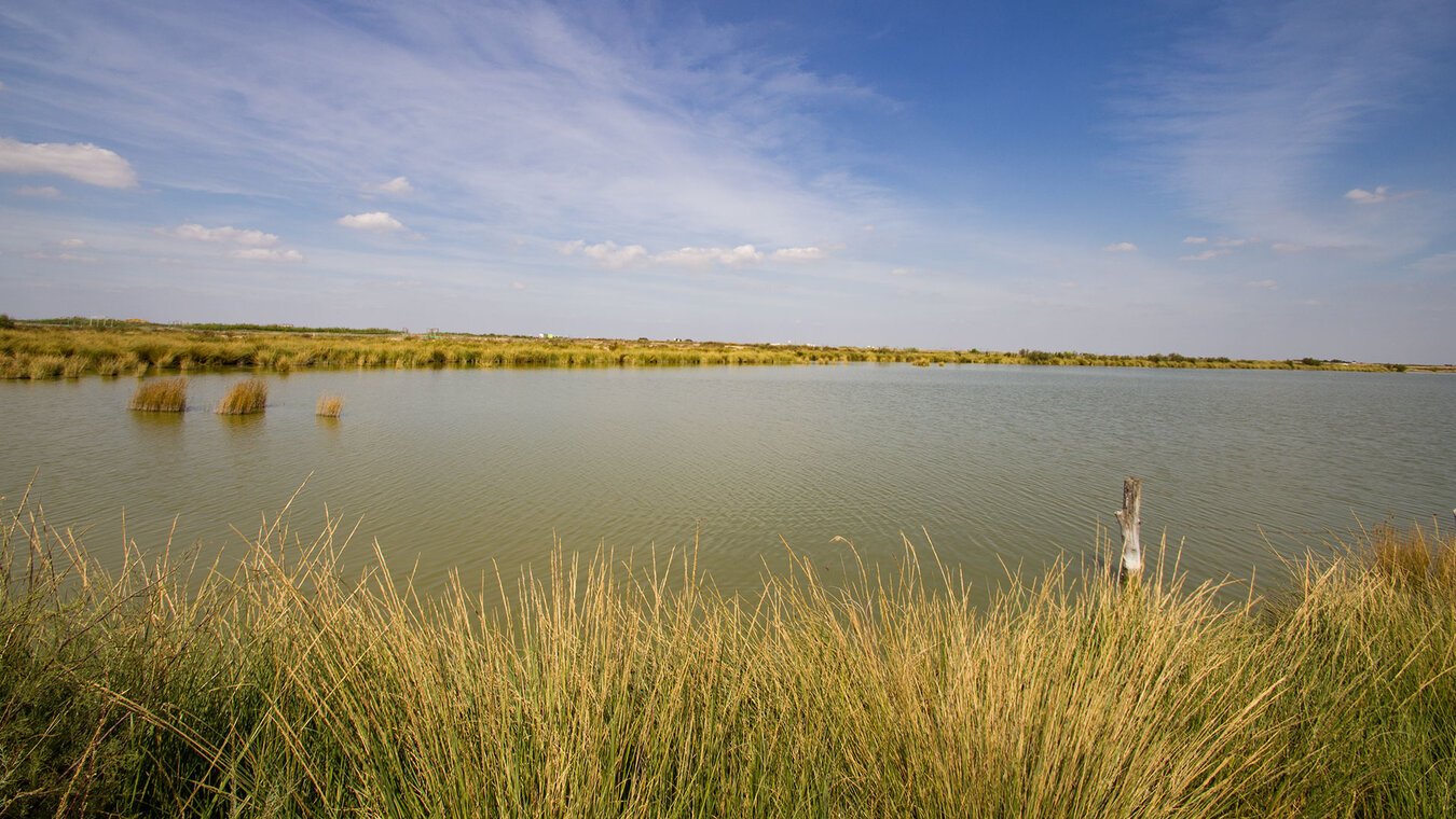 Rio Guadalquivir – Zugang zum Naturparadies | © Sunhikes