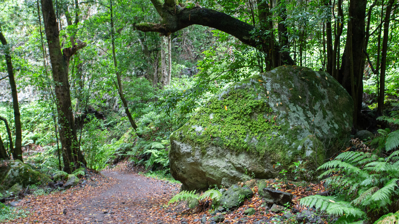 Entlang des Wanderwegs findet man gewaltige Felsbrocken | © Sunhikes