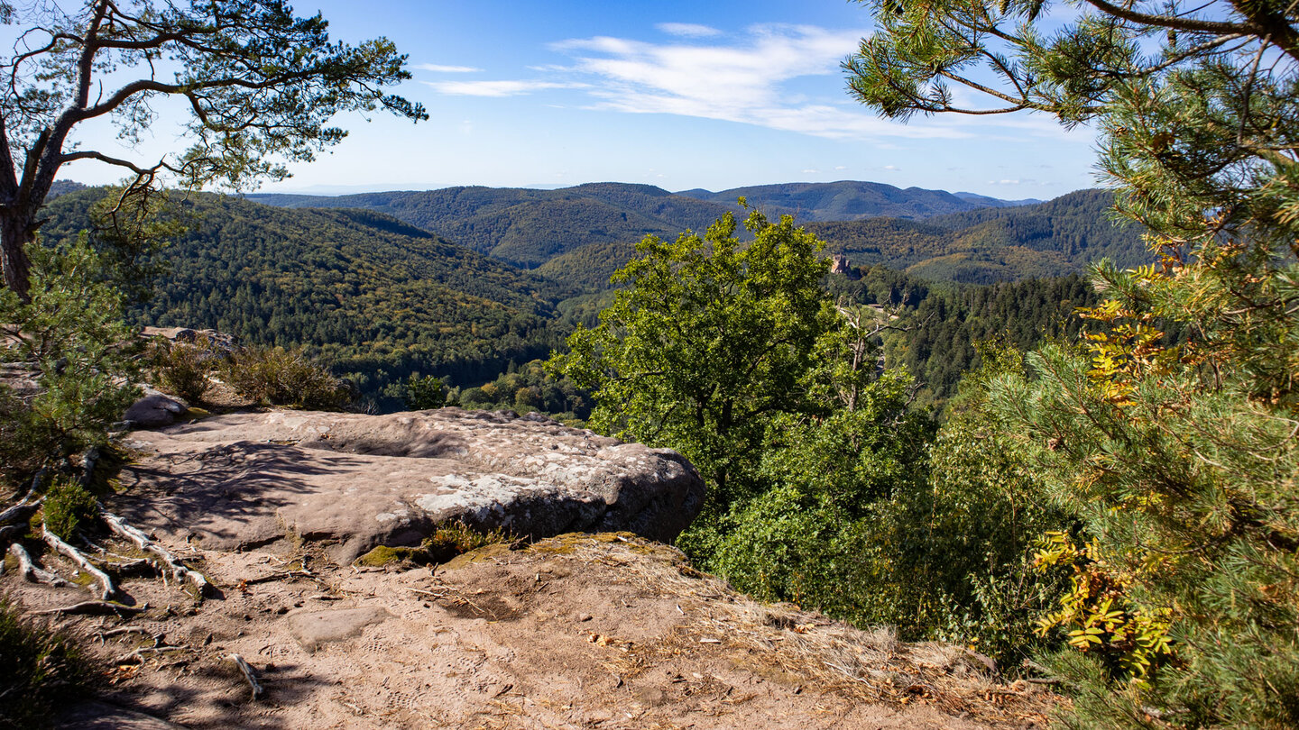 Ausblick vom Krappenfels zur Fleckenstein | © Sunhikes