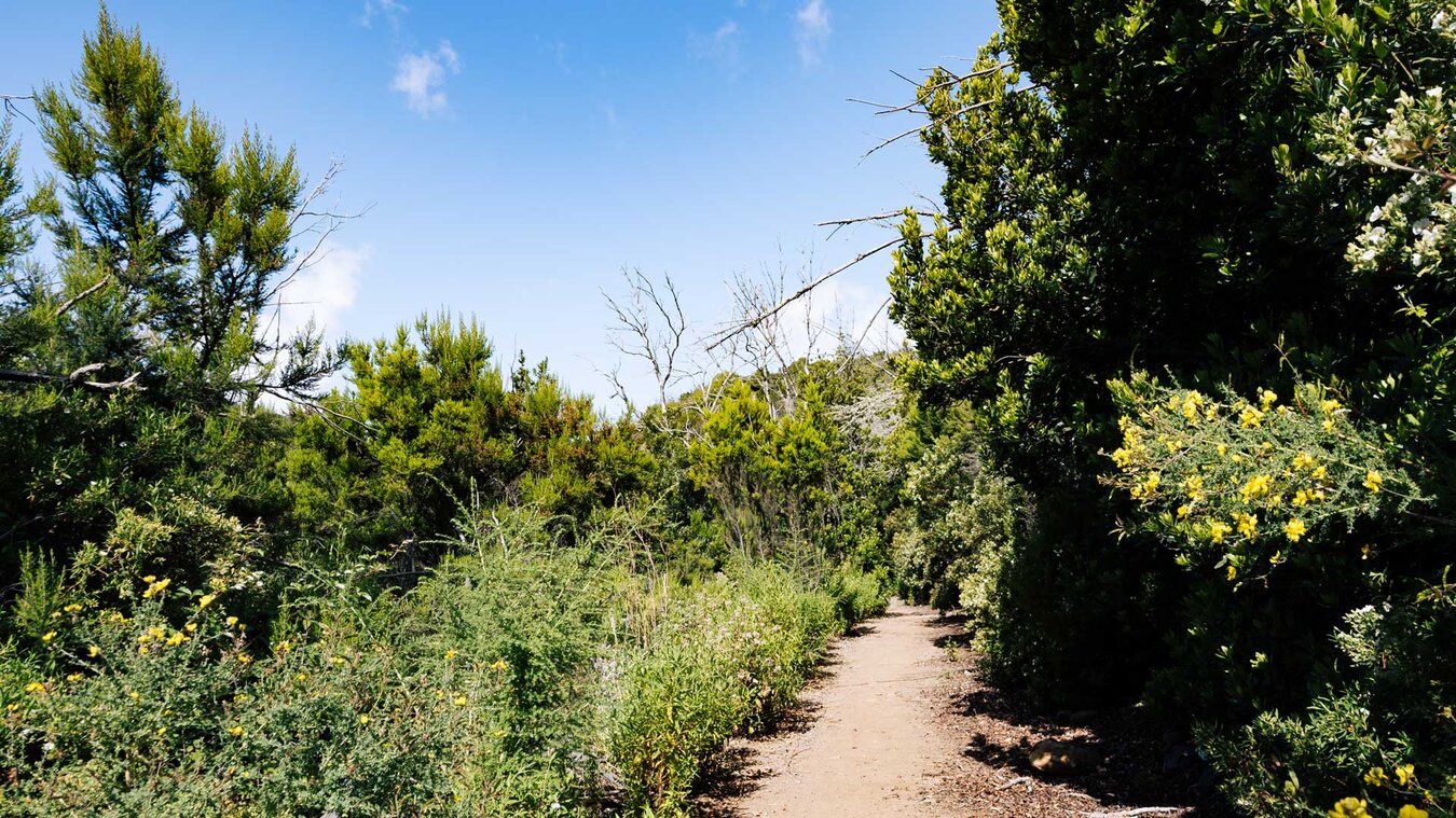 Rundwanderweg La Laguna Grande II im Garajonay Nationalpark | © Sunhikes