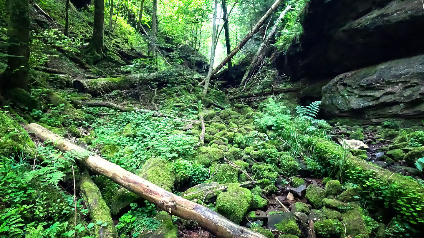 die Wolfsschlucht bei Zwingenberg im Geo-Naturpark Bergstraße-Odenwald | © Sunhikes Wolfsschlucht bei Zwingenberg im Geo-Naturpark Bergstraße-Odenwald | © Sunhikes