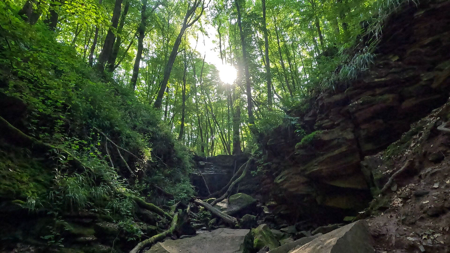 Wanderung durch die Margarethenschlucht bei Neckargerach | © Sunhikes Margarethenschlucht bei Neckargerach | © Sunhikes