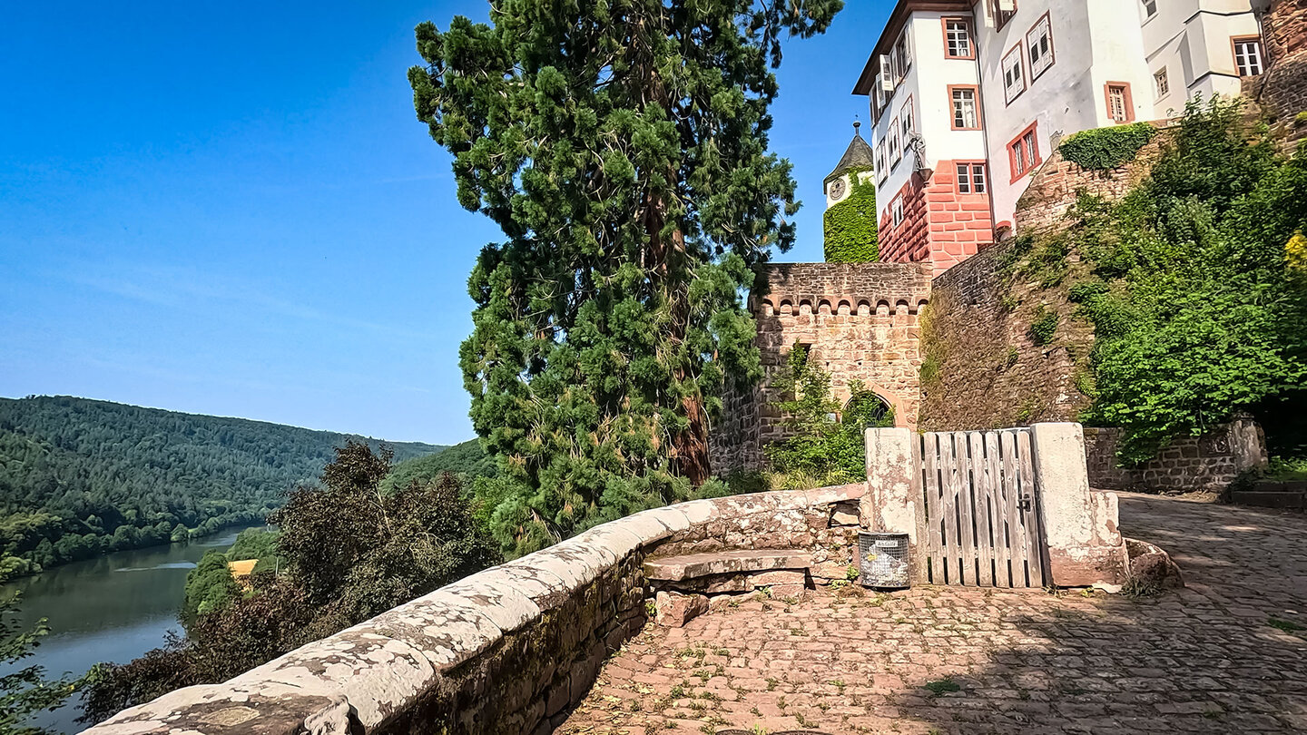 Schloss Zwingenberg am Neckar | © Sunhikes Schloss Zwingenberg am Neckar | © Sunhikes