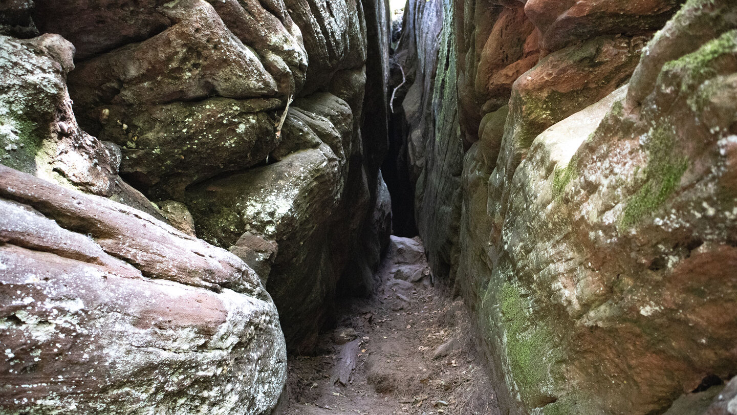 Prälatenkammer auf dem Spirkelbacher Höhenweg | © Sunhikes