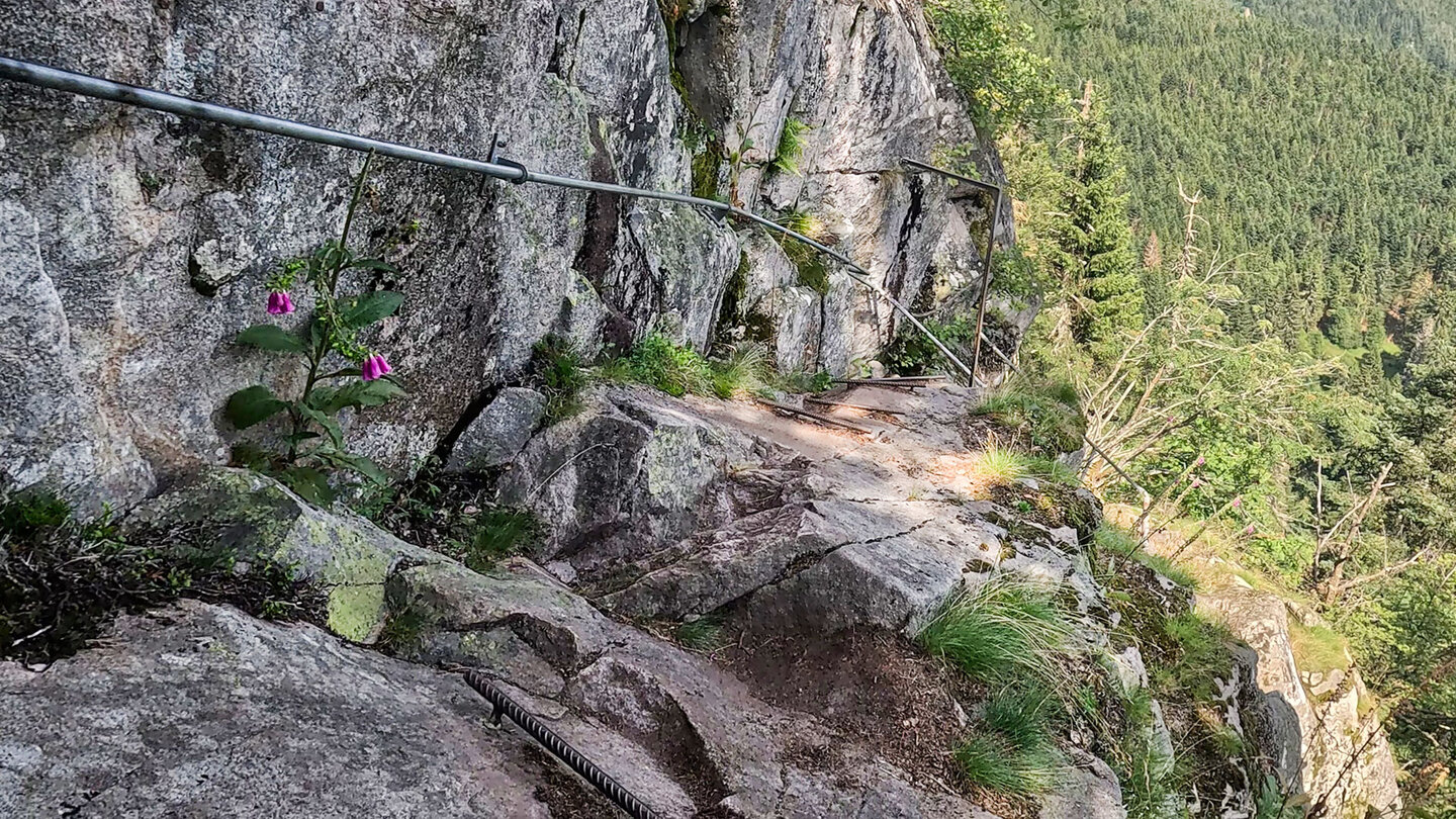 Klettersteig durch die Hirschsteine | © Sunhikes