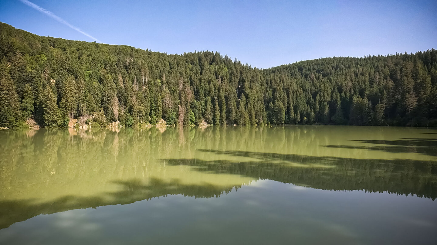 Lac Vert in den Hochvogesen | © Sunhikes