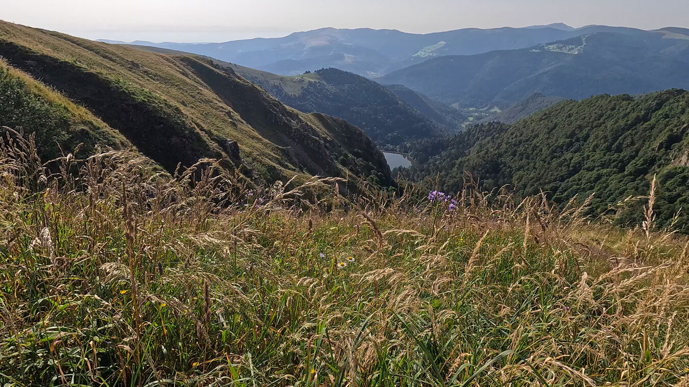 Vogesenpanorama vom Col du Wormspel mit dem Lac de Schiessrothried | © Sunhikes