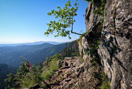 der Felsenweg Sentier des Roches am Col de la Schlucht | © Sunhikes