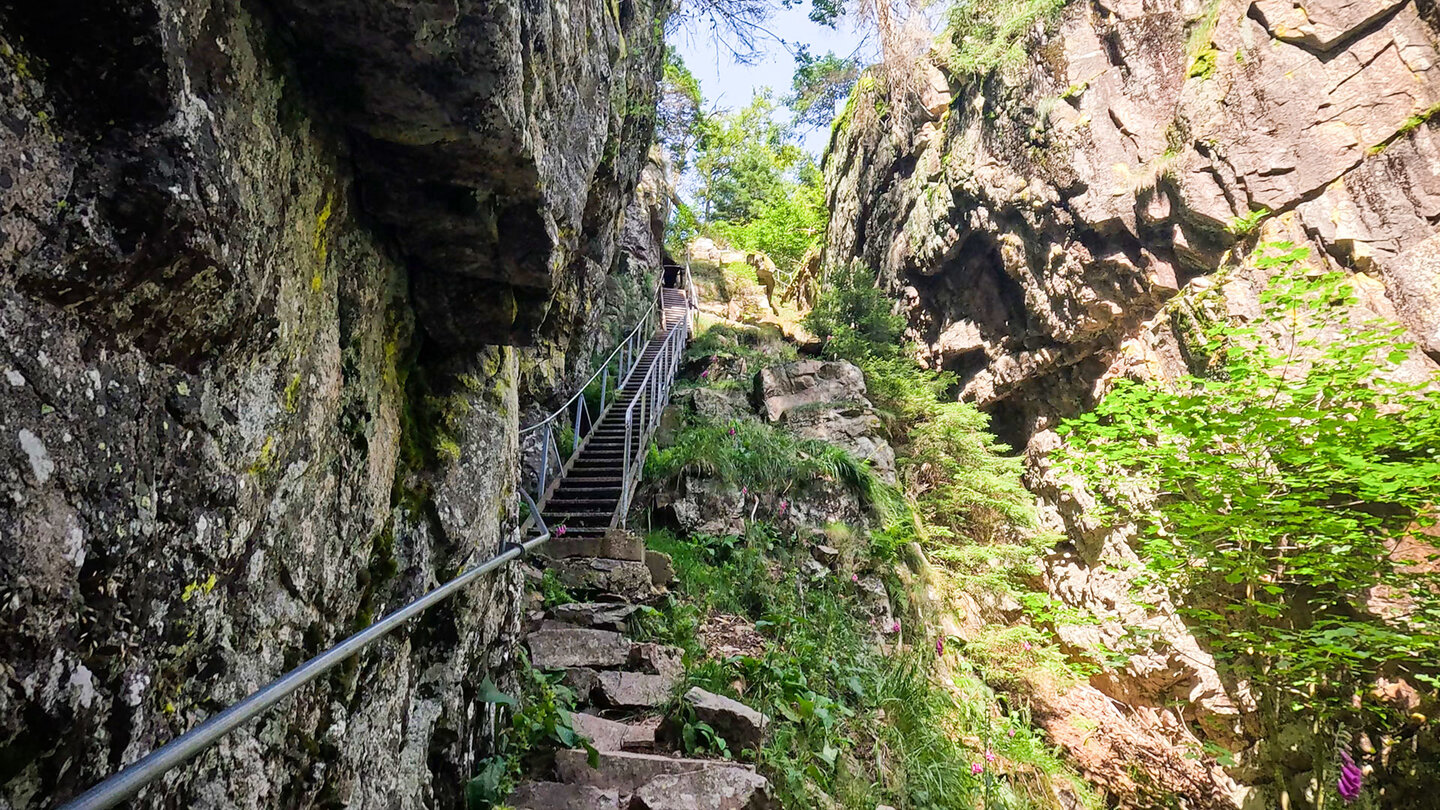 Les escaliers des Hirschsteine in den Hochvogesen | © Sunhikes