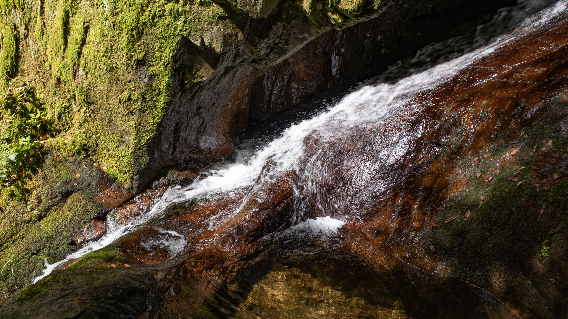 Naturschatz Karlsruher Grat und Edelfrauengrab-Wasserfälle | © Sunhikes