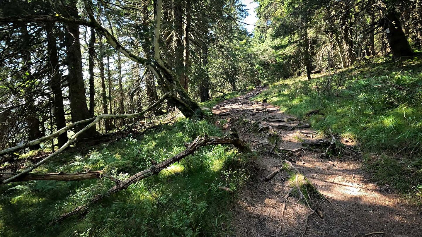 Rundwanderung Circuit du Lac Noir | © Sunhikes