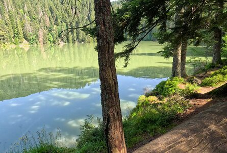 Lac Vert – der grüne See der Hochvogesen | © Sunhikes