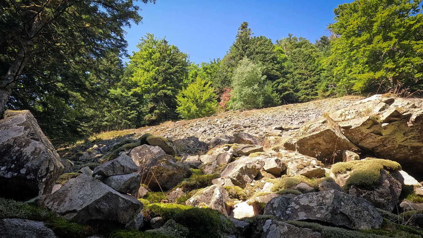 Blockhalde am Grand Ventron | © Sunhikes