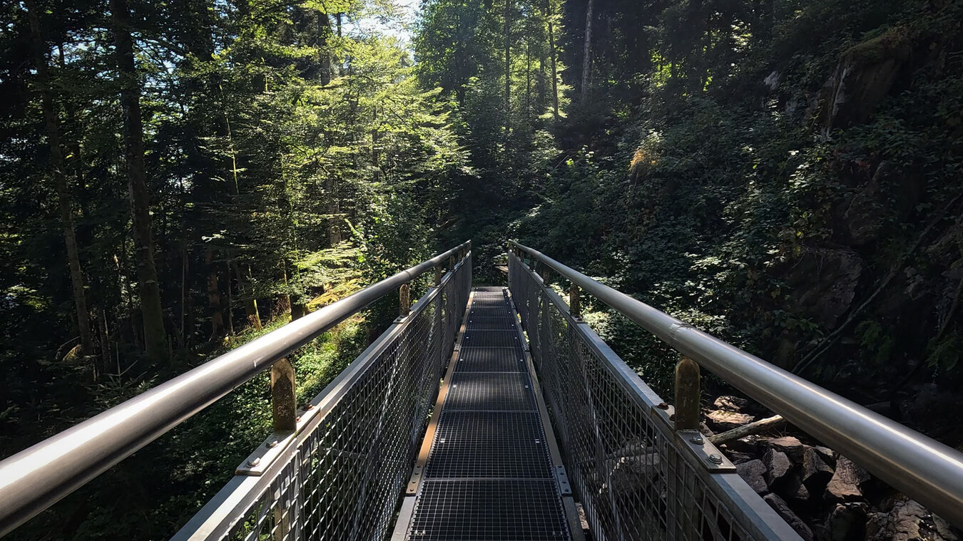 Brücke am Heidelbeerenloch beim Wasserfall Cascade Blondel | © Sunhikes
