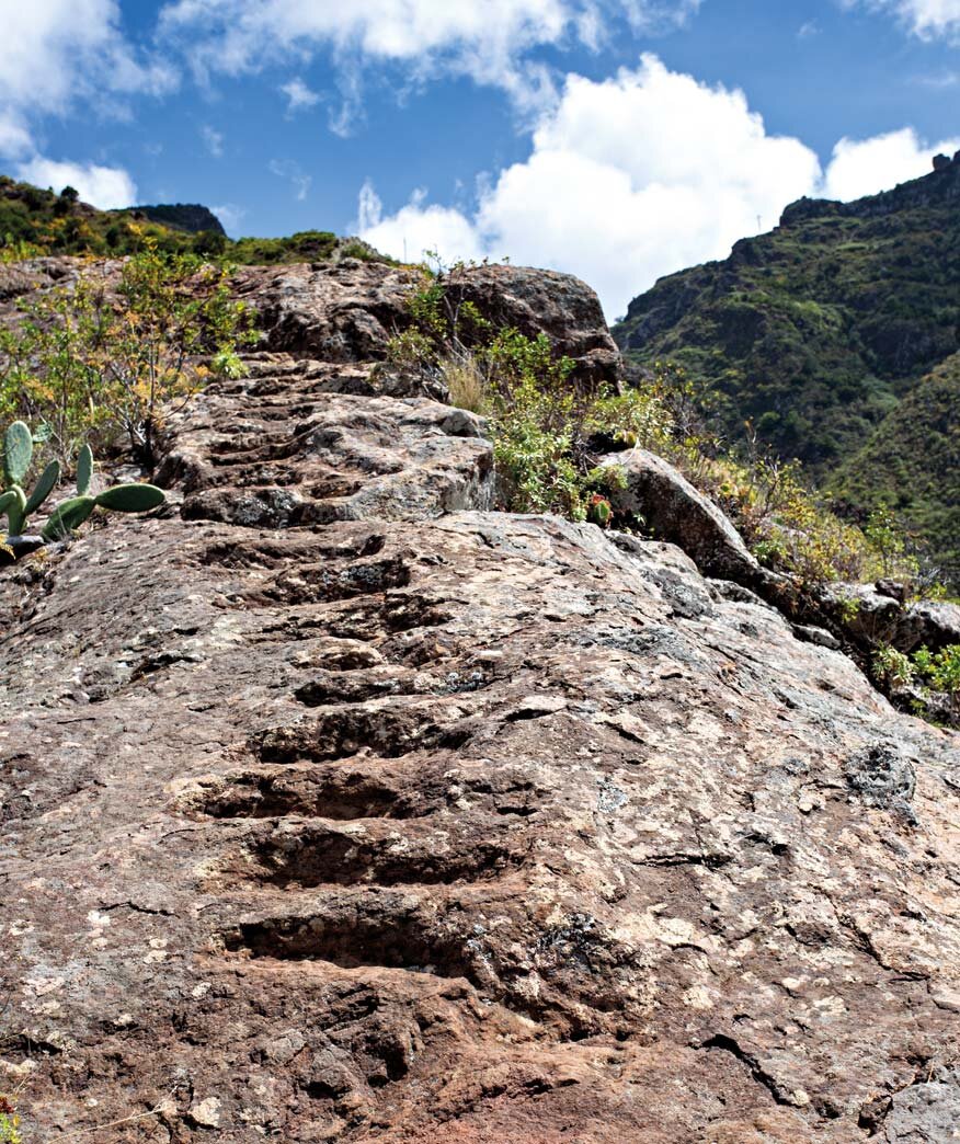 alter Verbindungsweg im Anaga mit in Fels gehauenen Stufen | © Sunhikes