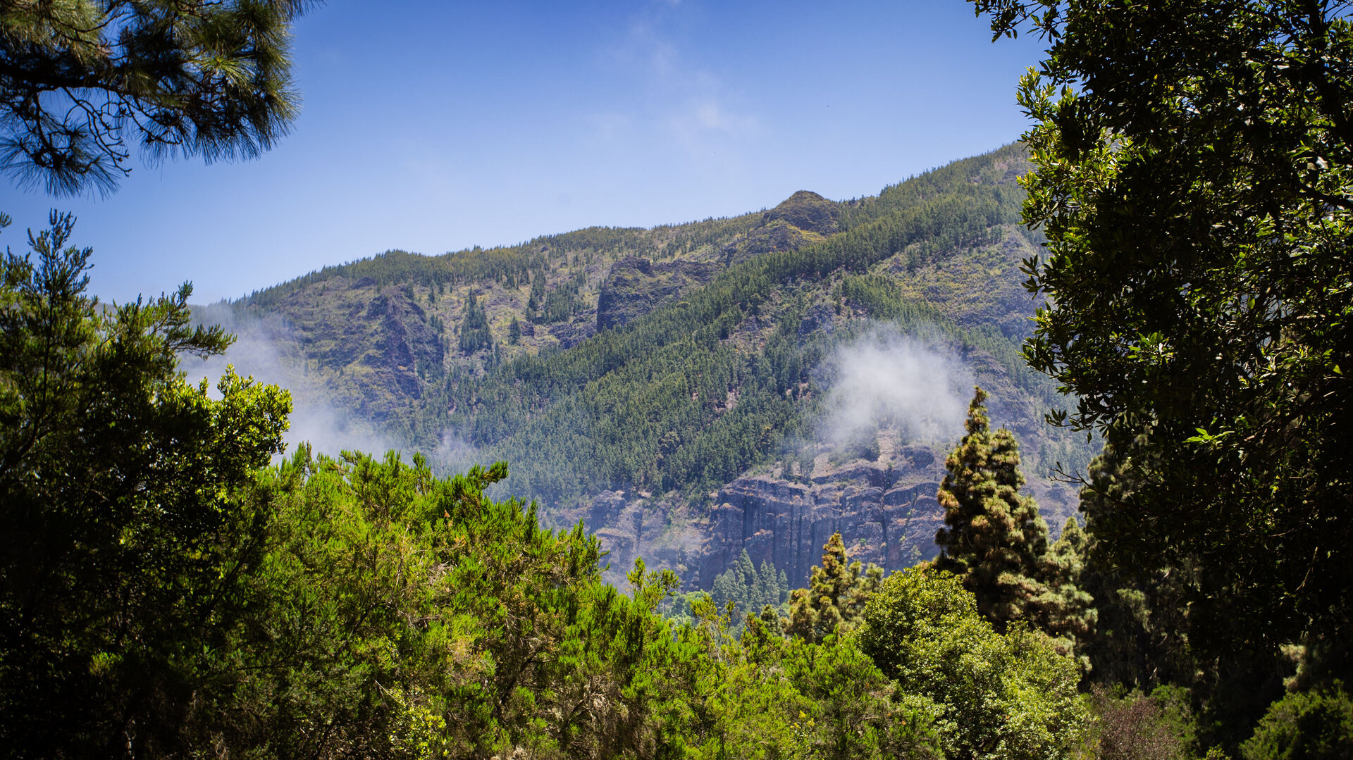 Los Órganos auf Teneriffa | © Sunhikes