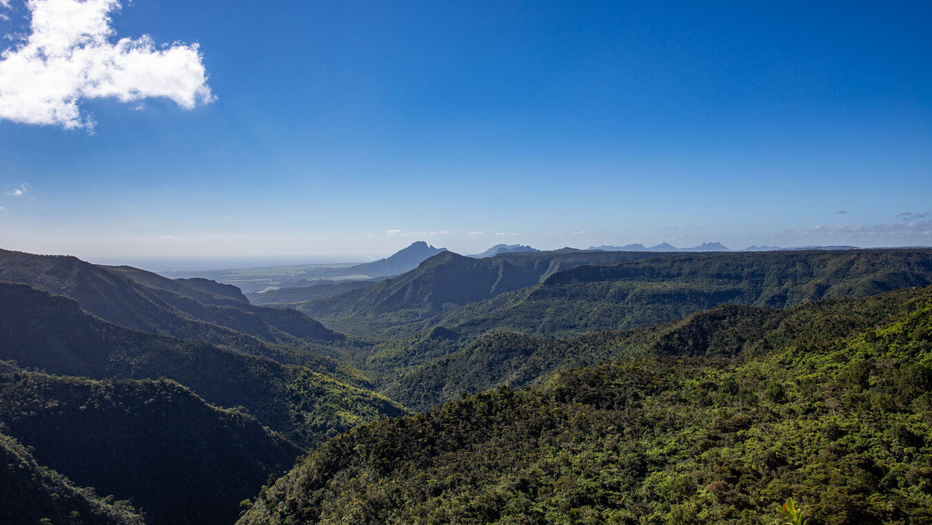 Gorges Viewpoint im Black River Gorges Nationalpark | © Sunhikes