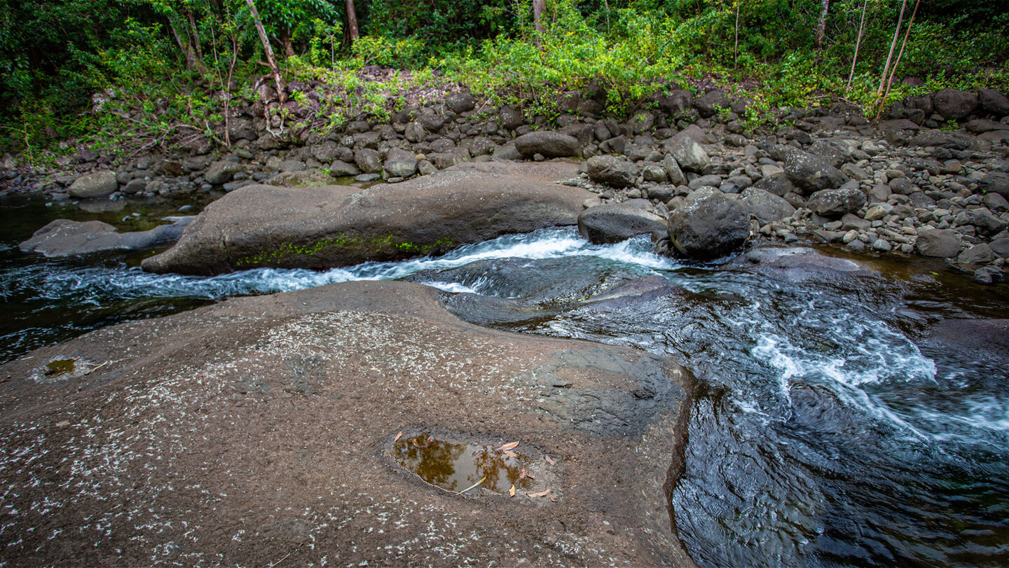 Mare Aux Joncs Trail  | © Sunhikes