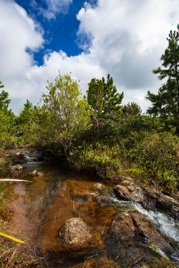 Wasserfall Cascade Bouton im Black River Gorges Nationalpark | © Sunhikes