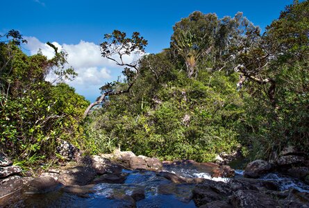 Alexandra Falls im Black River Gorges Nationalpark auf Mauritius | © Sunhikes