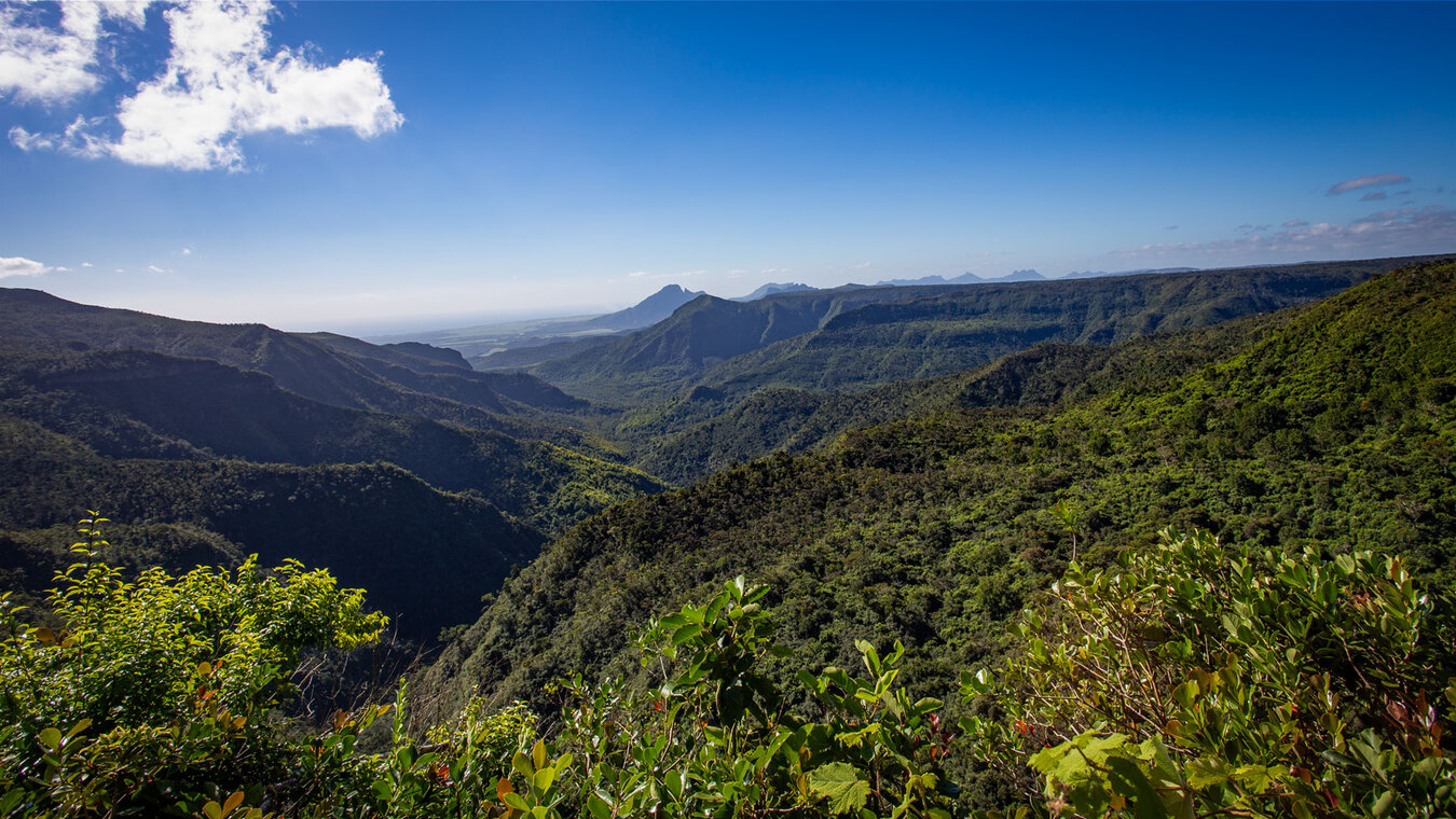 Black River Gorges Nationalpark  | © Sunhikes