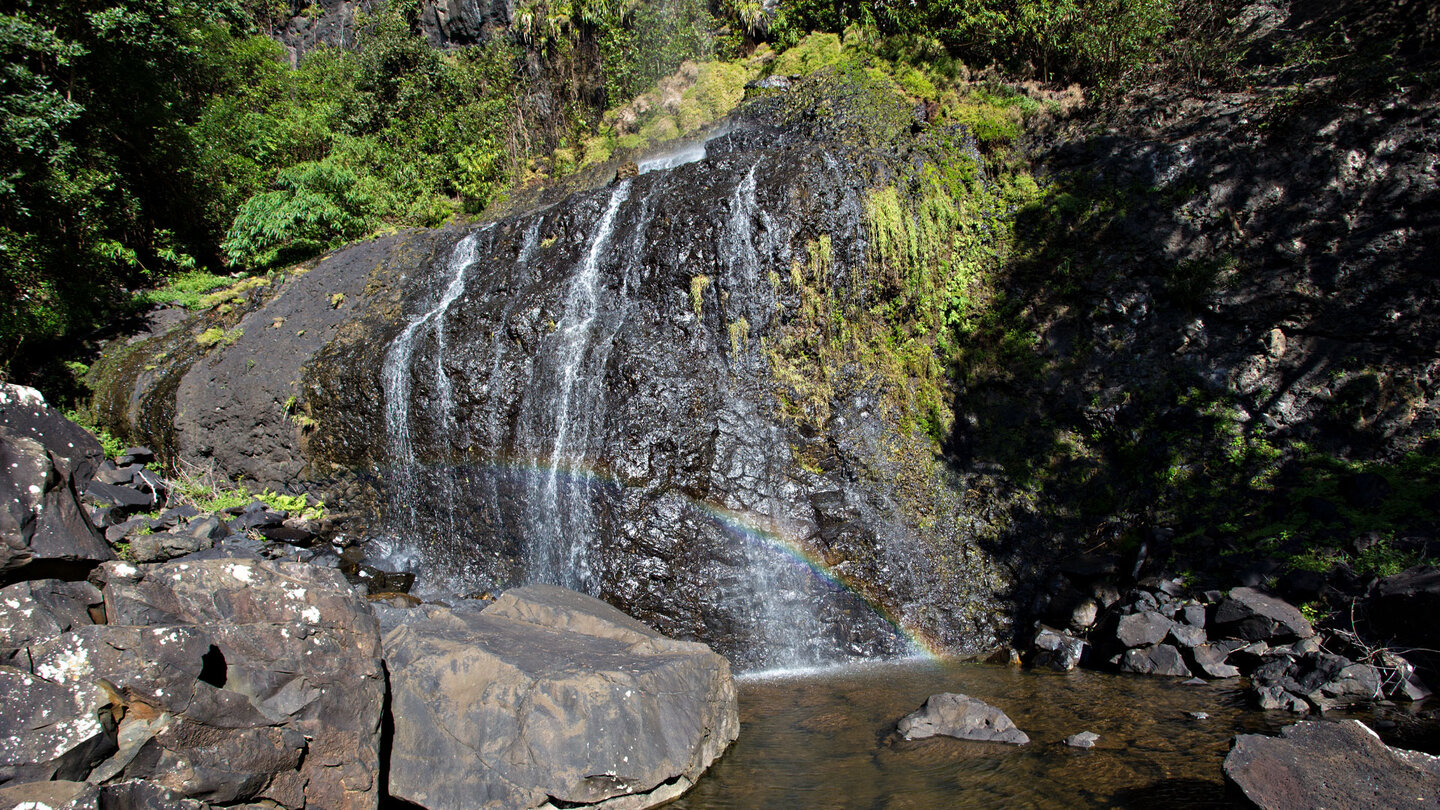 Becken des Mare Aux Joncs Wasserfalls | © Sunhikes
