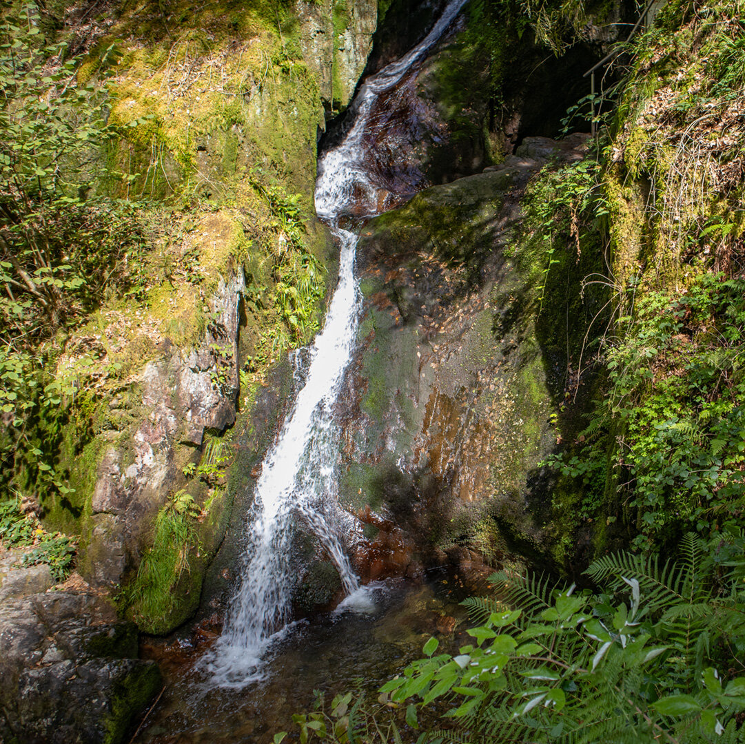 Edelfrauengrab-Wasserfälle | © Sunhikes