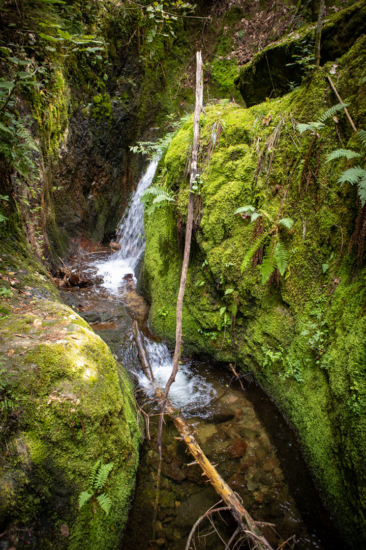 Felshänge im Gottschlägtal | © Sunhikes