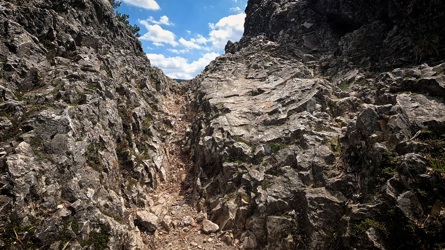 Karlsruher Grat im Naturschutzgebiet Gottschlägtal | © Sunhikes