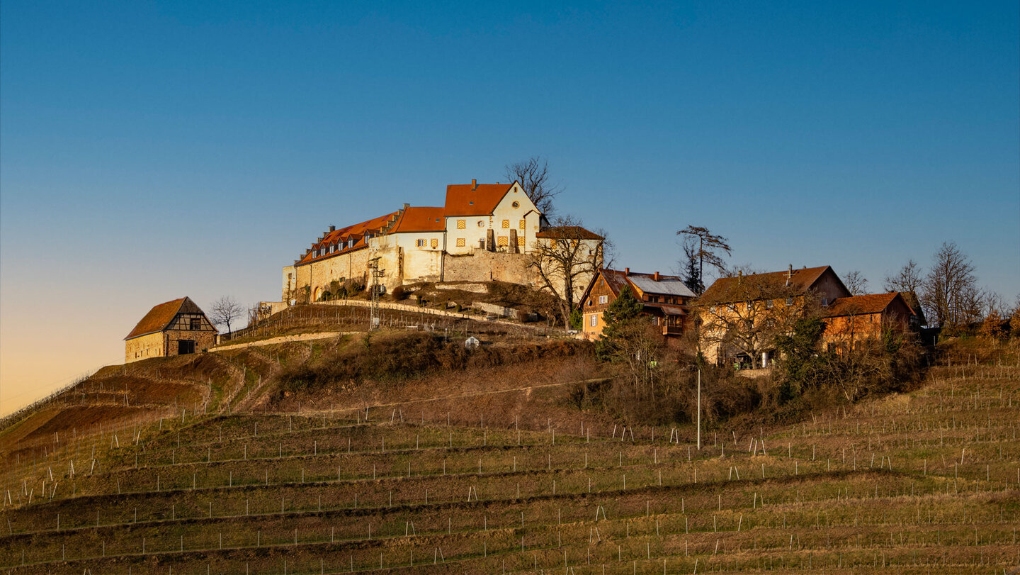 Schloss Staufenberg am Durbacher Weinpanorama-Weg | © Sunhikes
