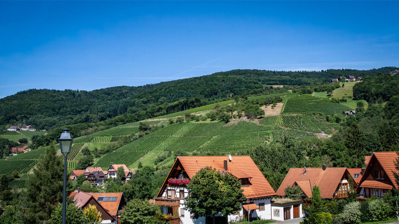 die Alde Gott Panoramarunde bei Sasbachwalden | © Sunhikes