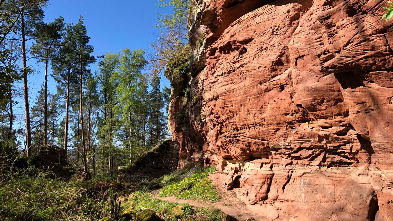 Wanderweg durch die Ruine der Burg Wineck | © Sunhikes