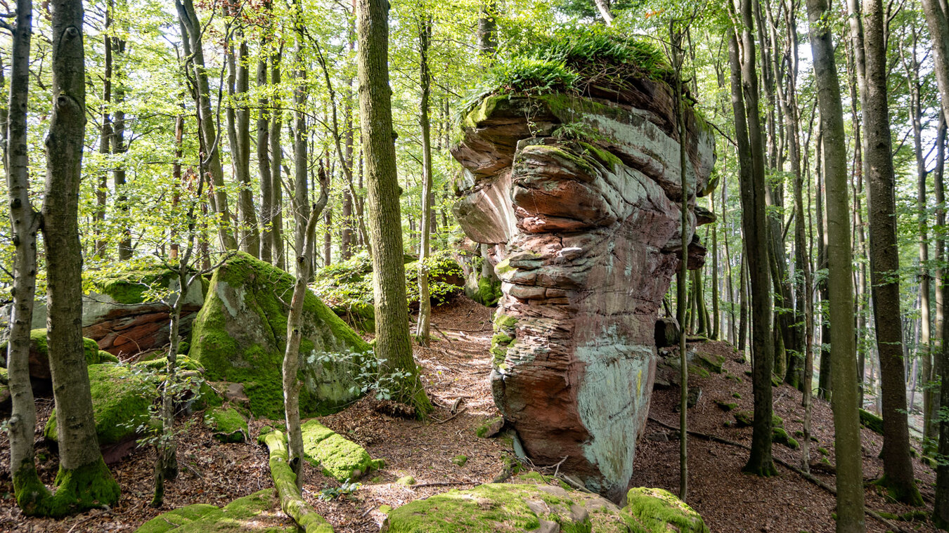 Buntsandsteinriff Altes Heer bei Obersteinbach | © Sunhikes