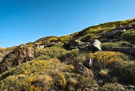 blühende Berghänge zu Ostern in Andalusien | © Sunhikes