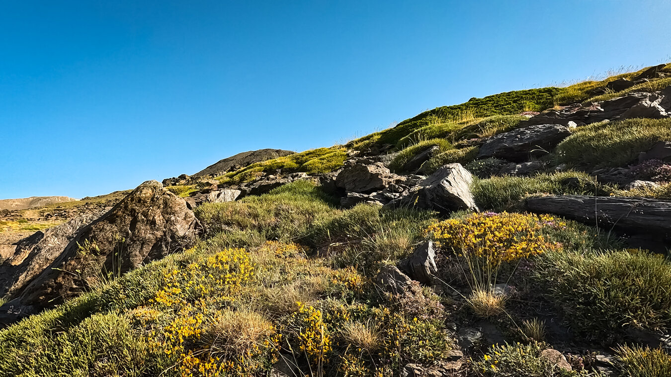 blühende Berghänge zu Ostern in Andalusien | © Sunhikes