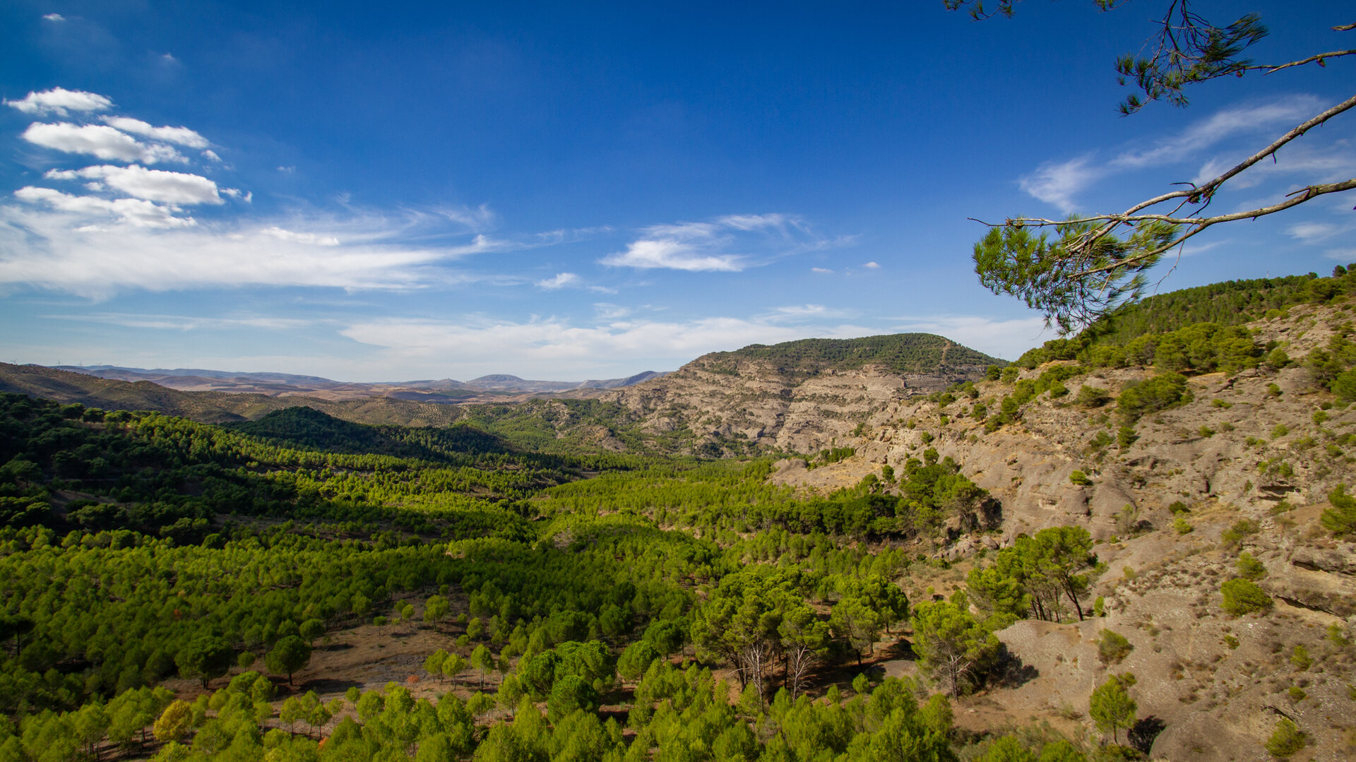  Paraje Natural Desfiladero de los Gaitanes in Andalusien | © Sunhikes