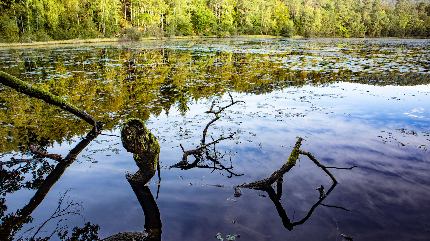 Étang du Lieschbach | © Sunhikes